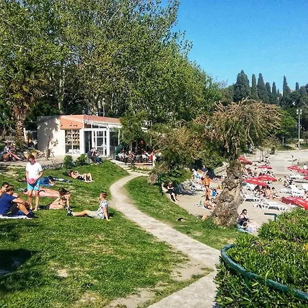 Dolea